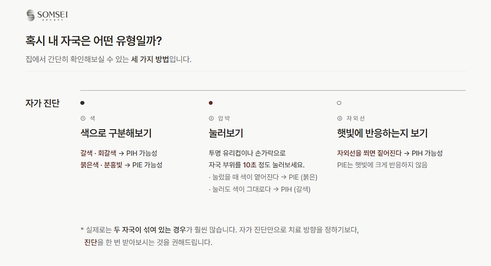 내 자국 유형 자가 진단 세 가지