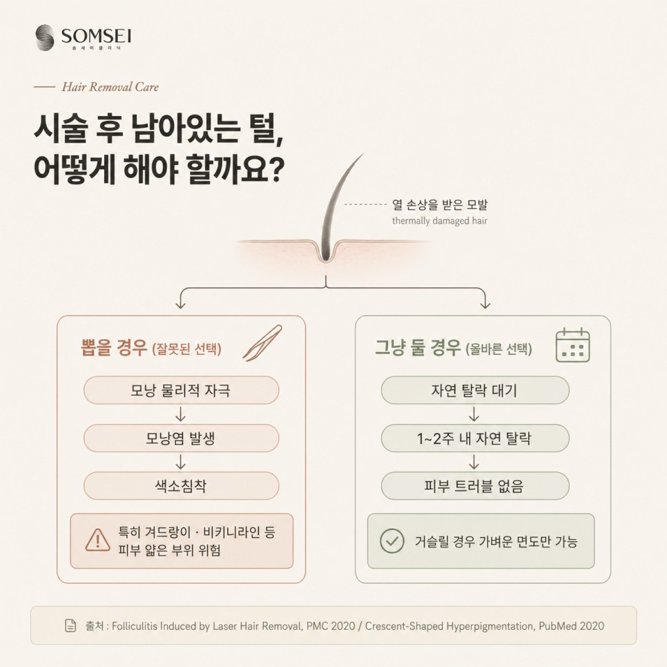 시술 뒤 남은 털 관리 도식