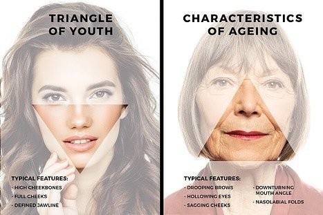 Triangle of Youth와 Characteristics of Ageing 비교