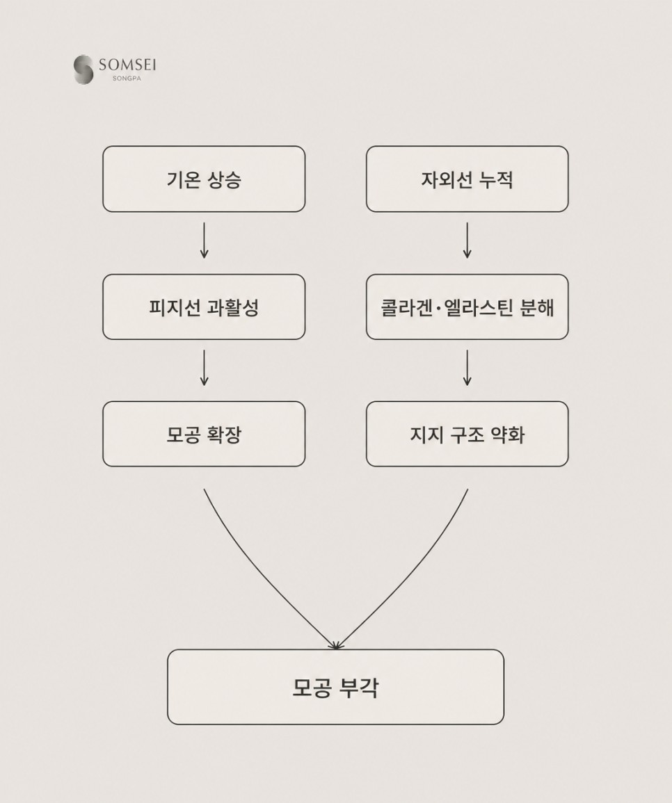 기온 상승과 자외선 누적으로 모공이 부각되는 과정